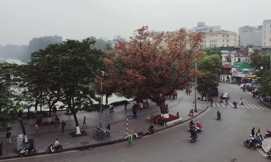 cap-quang-fpt-ha-noi