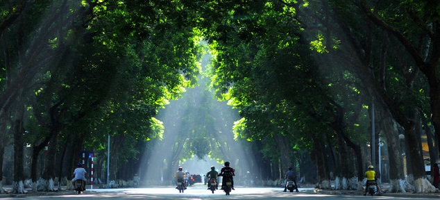 cap-quang-fpt-phan-dinh-phung-ha-noi