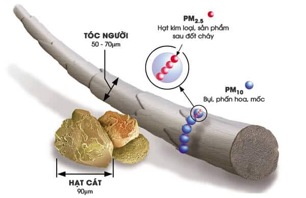 So sánh kích thước bụi mịn với tóc người