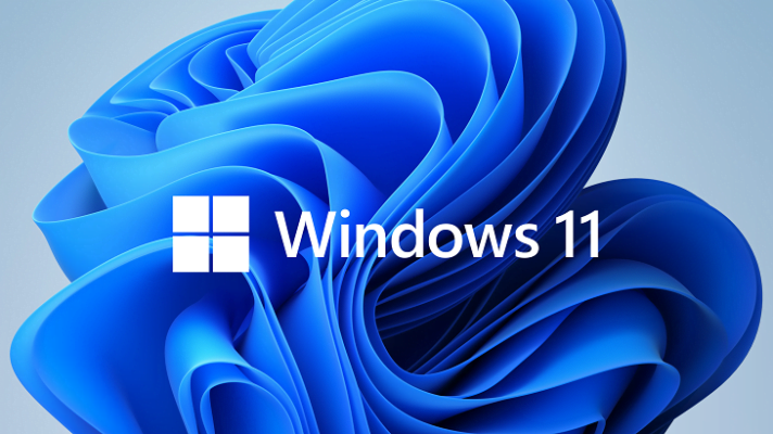 Bản cài đặt Windows 11