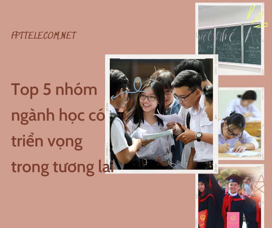 Top 5 nhóm ngành học