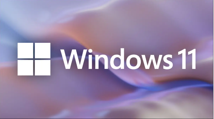 Windows 11