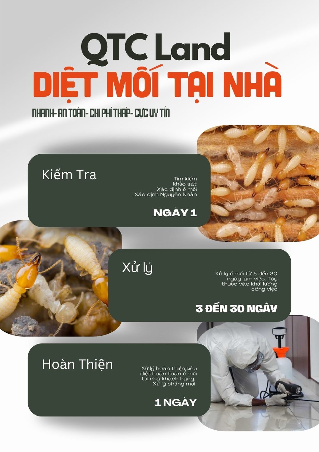 Dịch vụ diệt mối tại nhà của QTCLand.com