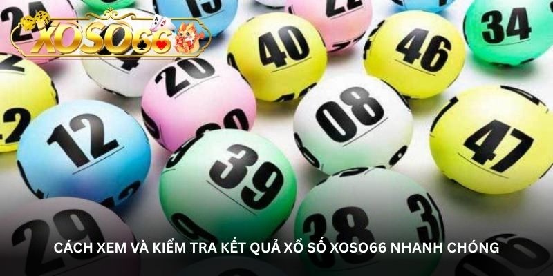 Cách xem và kiểm tra kết quả xổ số Xoso66 nhanh chóng